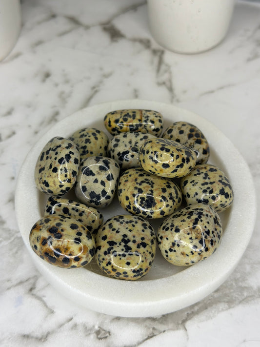 Dalmatian Jasper Tumbles